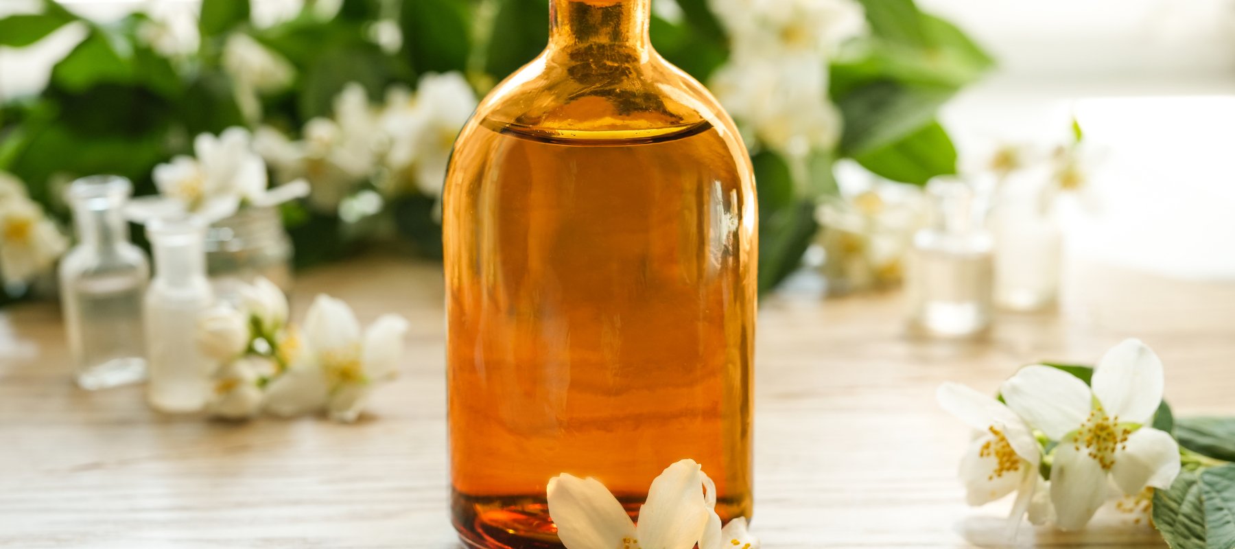Floral Family Perfumes